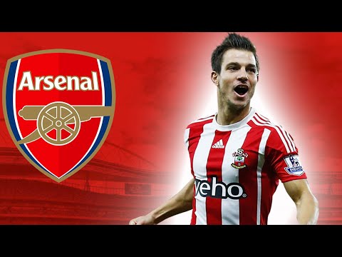 CEDRIC SOARES | Welcome To Arsenal 2020 | Goals & Skills (HD)